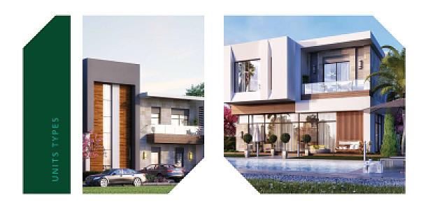 Zayard Villa