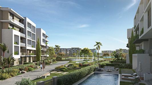 Terrace Zayed
