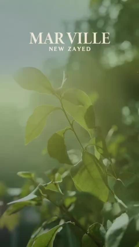 sales sales sm test reel