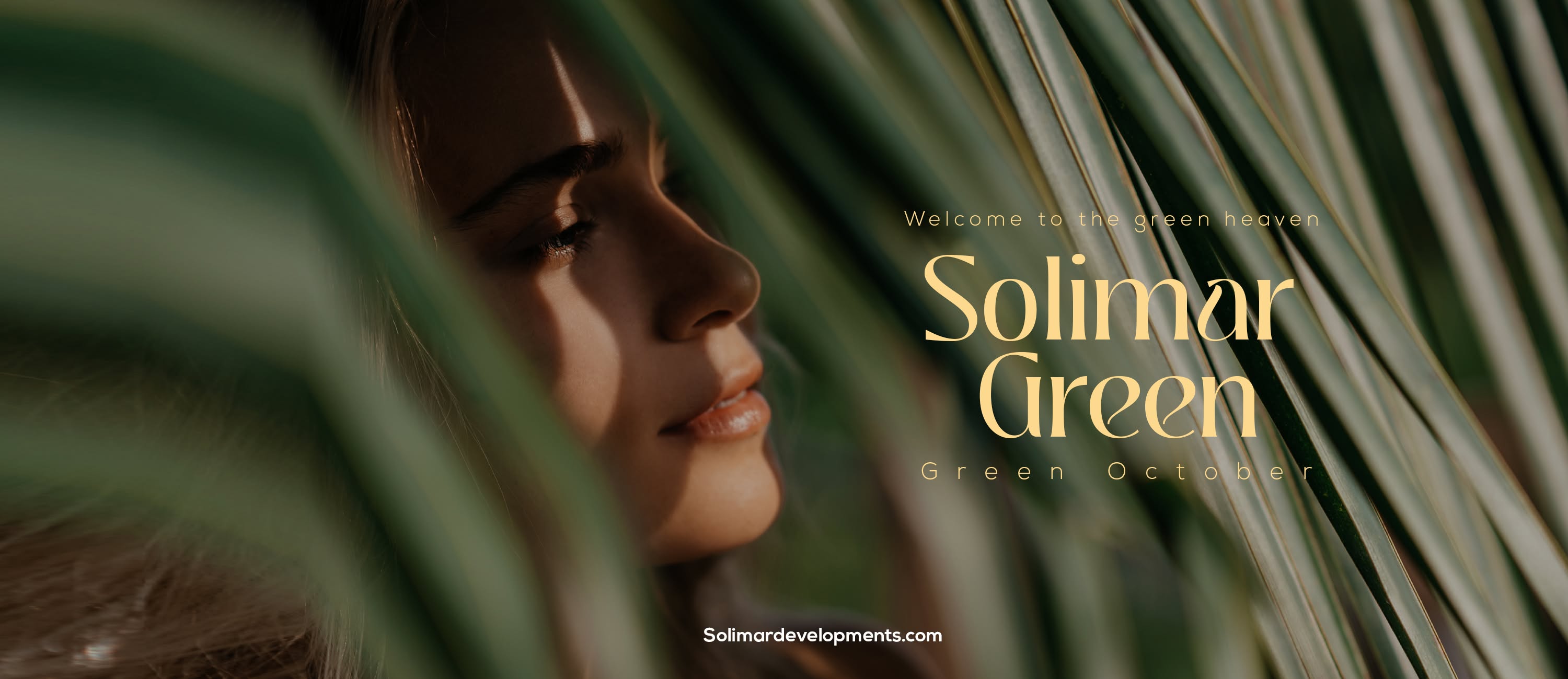 Solimar Development