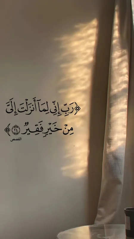 Tasneem Elhadidy