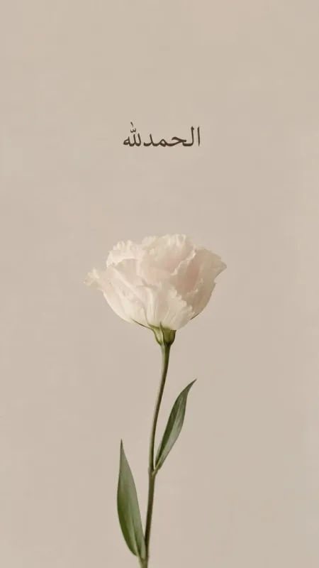 Farida Elnaggar