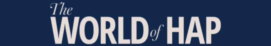 Hassan Allam