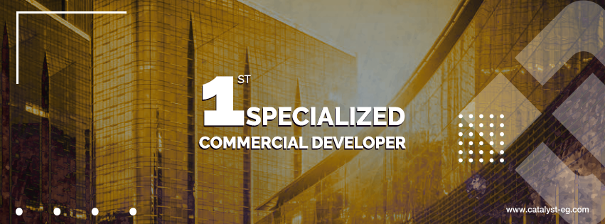 Catalyst Developments