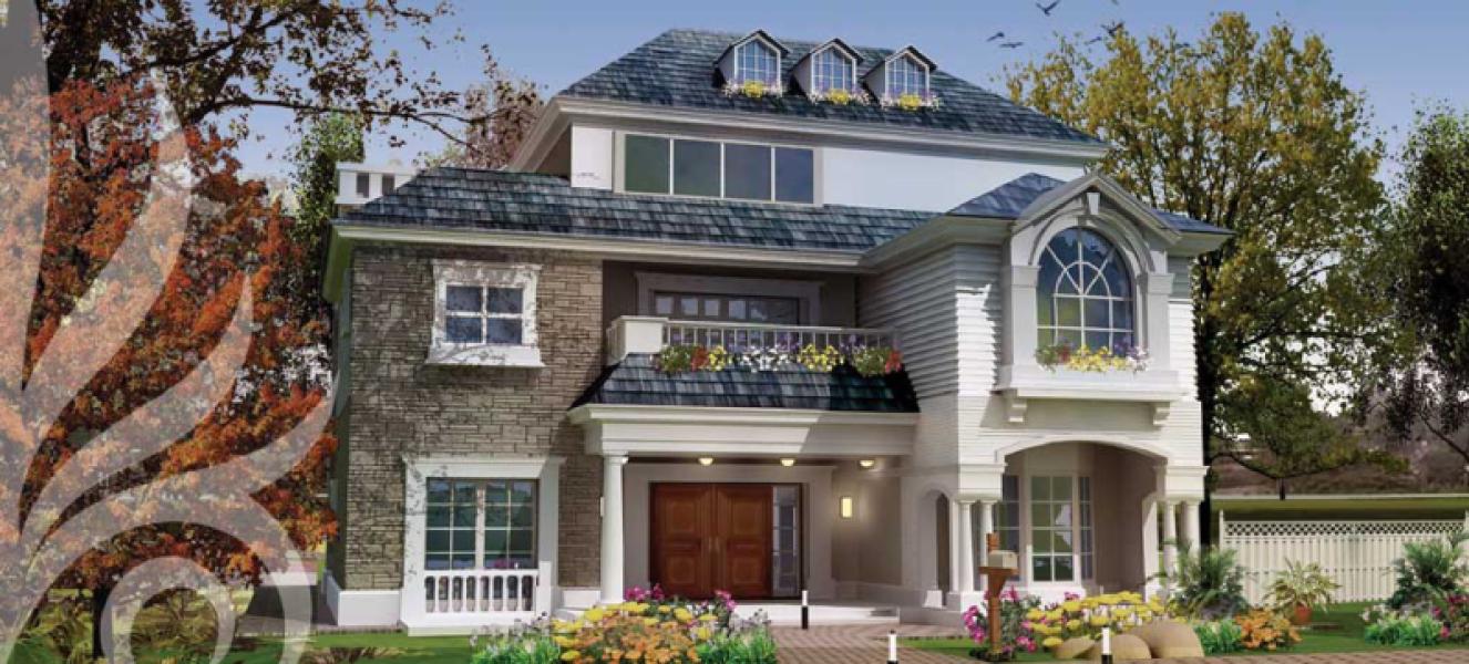 Mountain View I