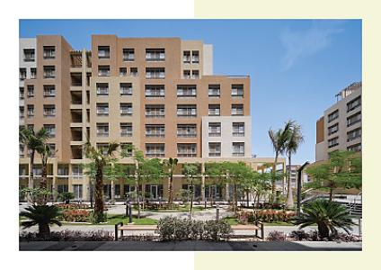 Mamsha Avenue - Commercial